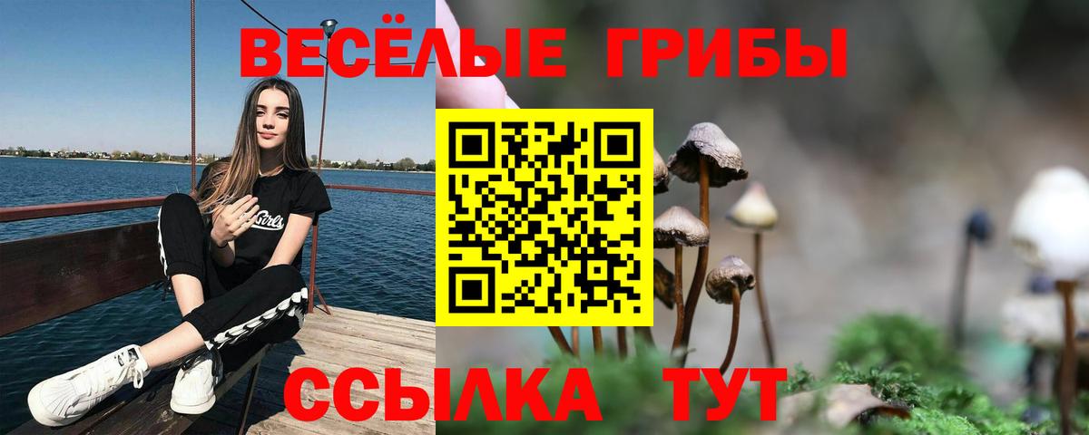 Псилоцибиновые грибы Psilocybe Шадринск